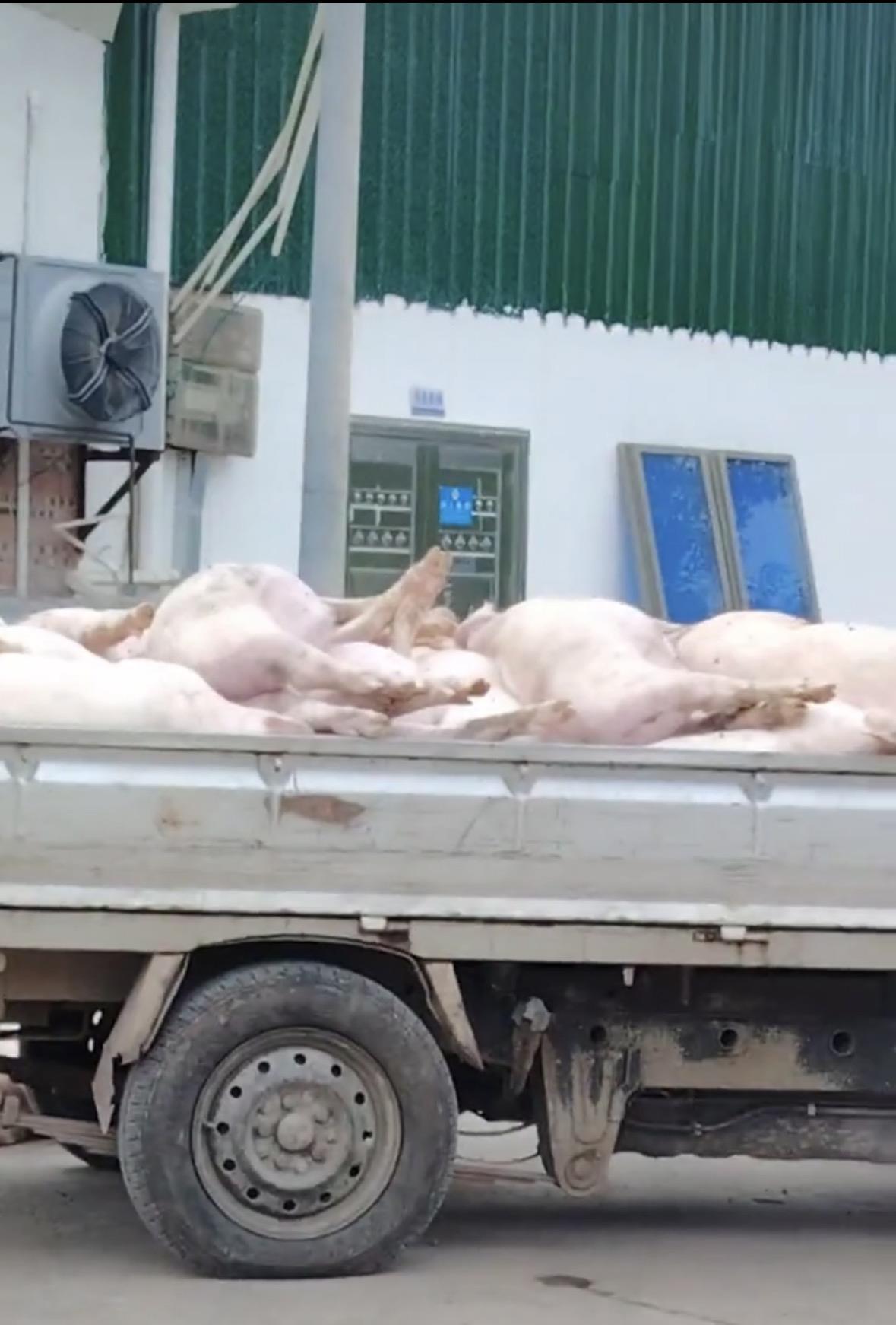 现场视频截图 图源:网络