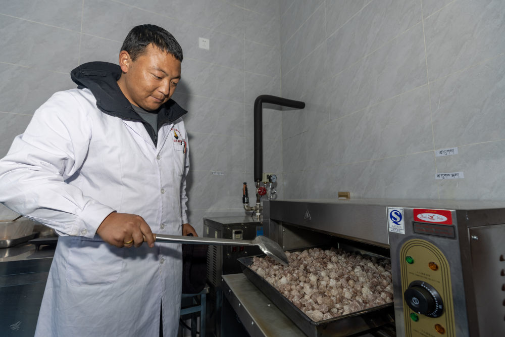 西藏米林市藏医院主治医师巴桑次仁在检查热敷盐粒（9月20日摄）。新华社记者 姜帆 摄