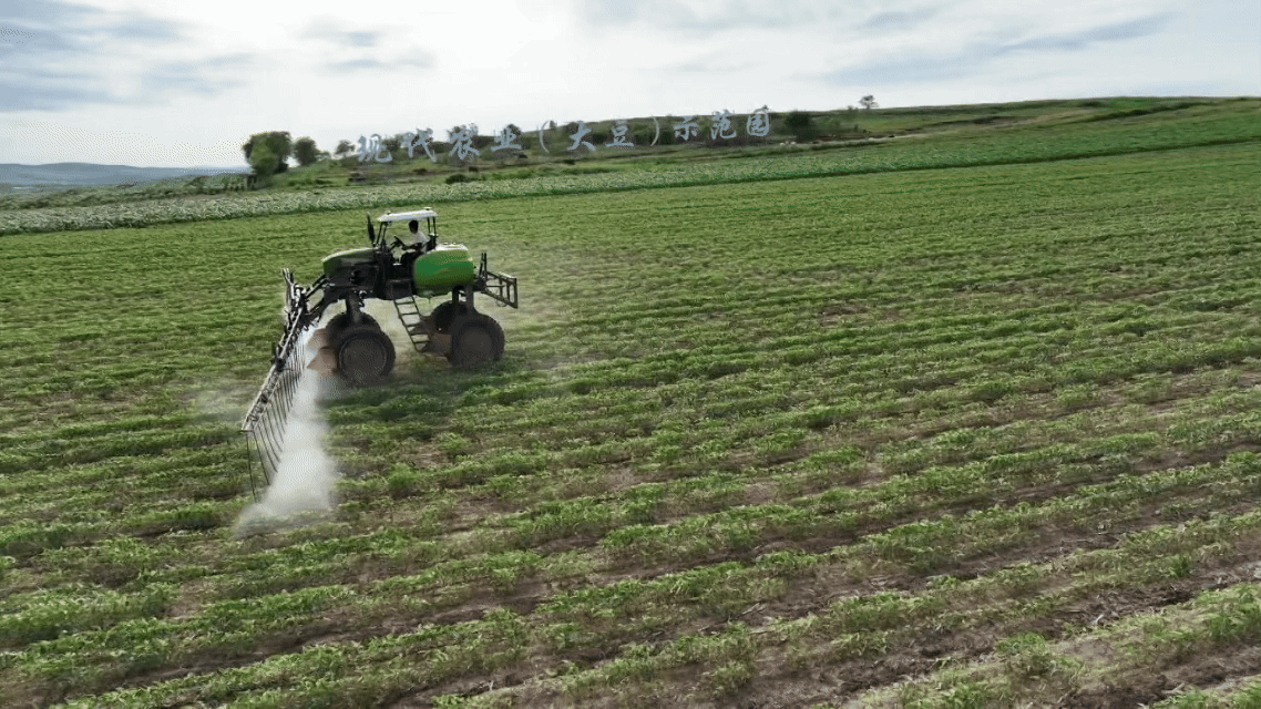 农业机械正在大豆田中作业（央广网发 张东阳 摄）