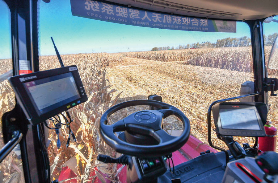 在中国科学院“黑土粮仓”科技会战长春示范区公主岭示范基地,无人驾驶农机在收获玉米(2023 年 10 月 19 日摄) 张楠摄 / 本刊
