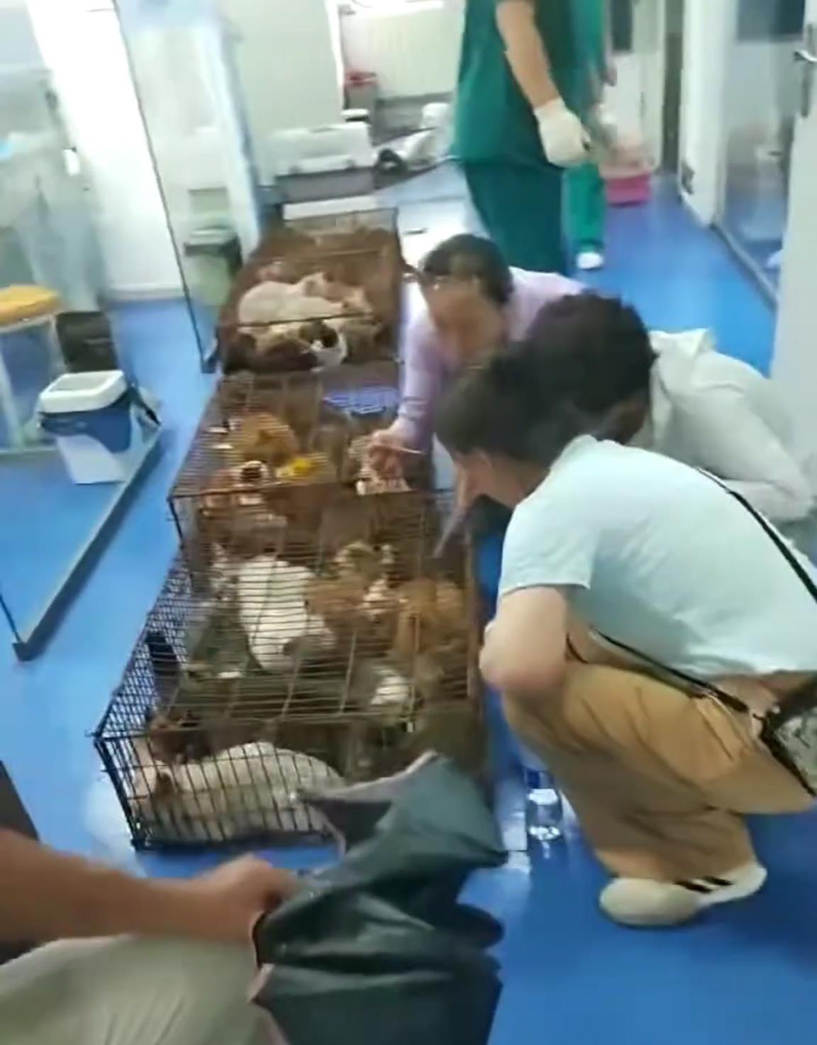 Screenshot_20250823_110601_com.huawei.himovie.loc.jpg