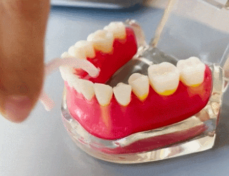 图片来源:丁香生活研究所