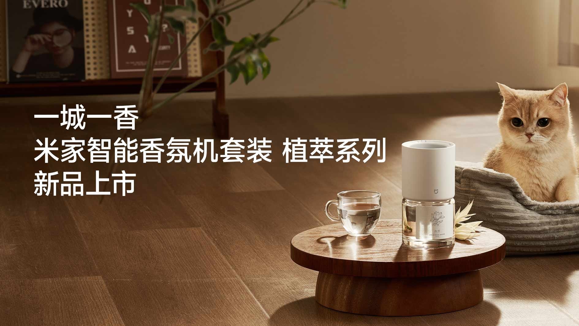 封面图.jpg