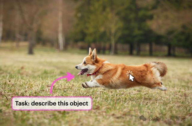 英伟达华人硬核AI神器秒变细节狂魔!仅3B逆袭GPT-4o