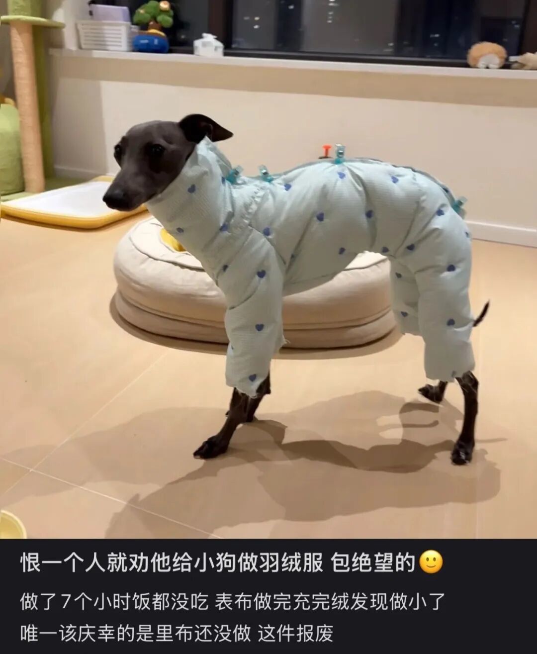 〓 图源:小红书用户@天才小小梨