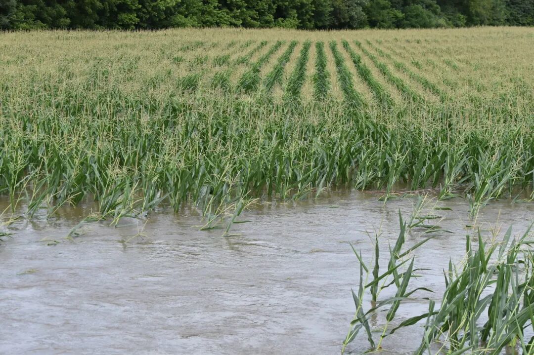 粮食烘干机卖空了