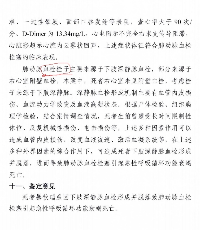 最高检司法鉴定中心的鉴定意见(部分)