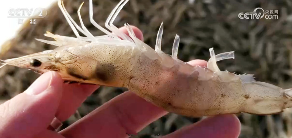 40B30D9C166B510FE815971863862B9ED6F6AA4E_size84_w1000_h473