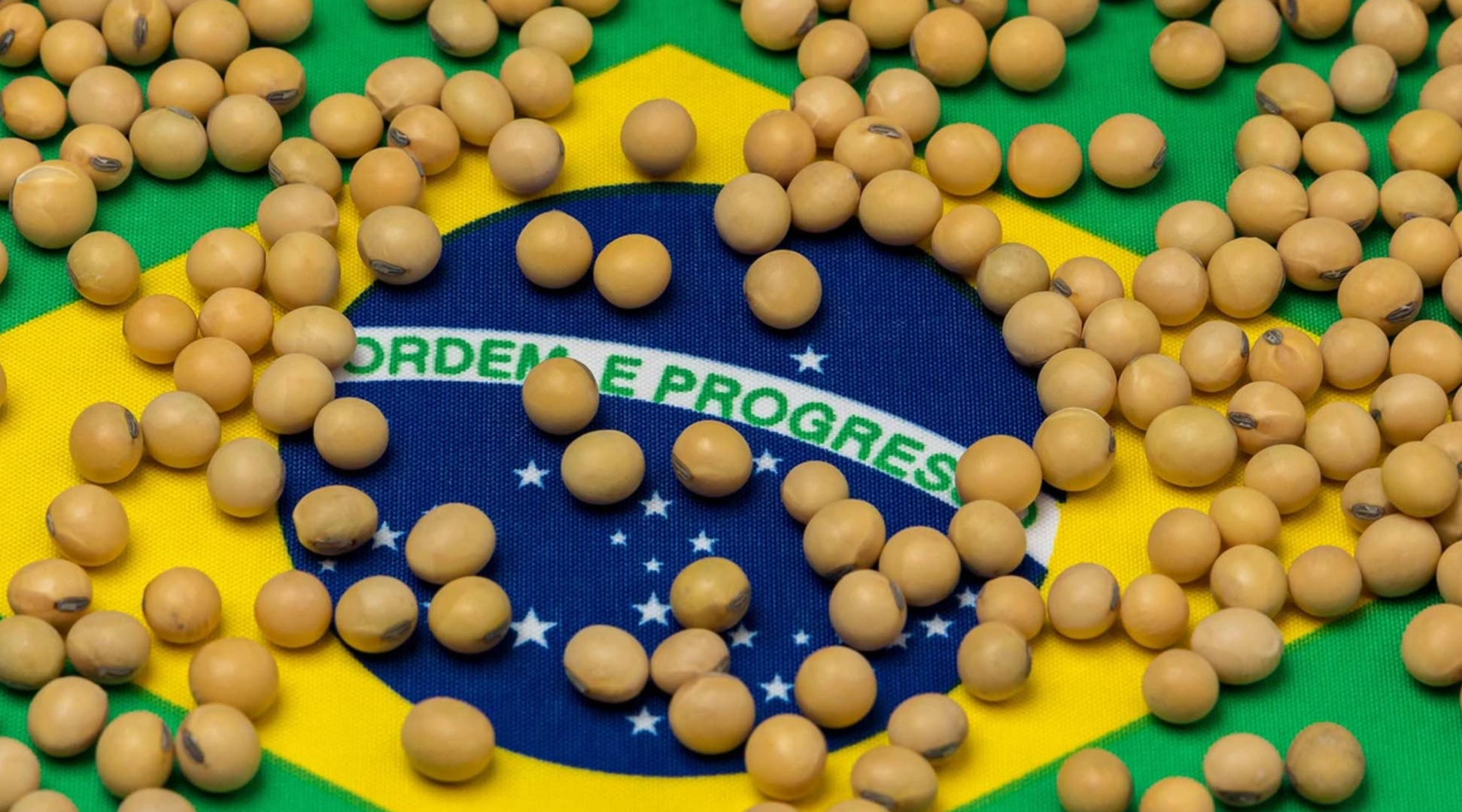 中国转向巴西采购大豆！美大豆协会主席慌了：关税战将使不少农民破产