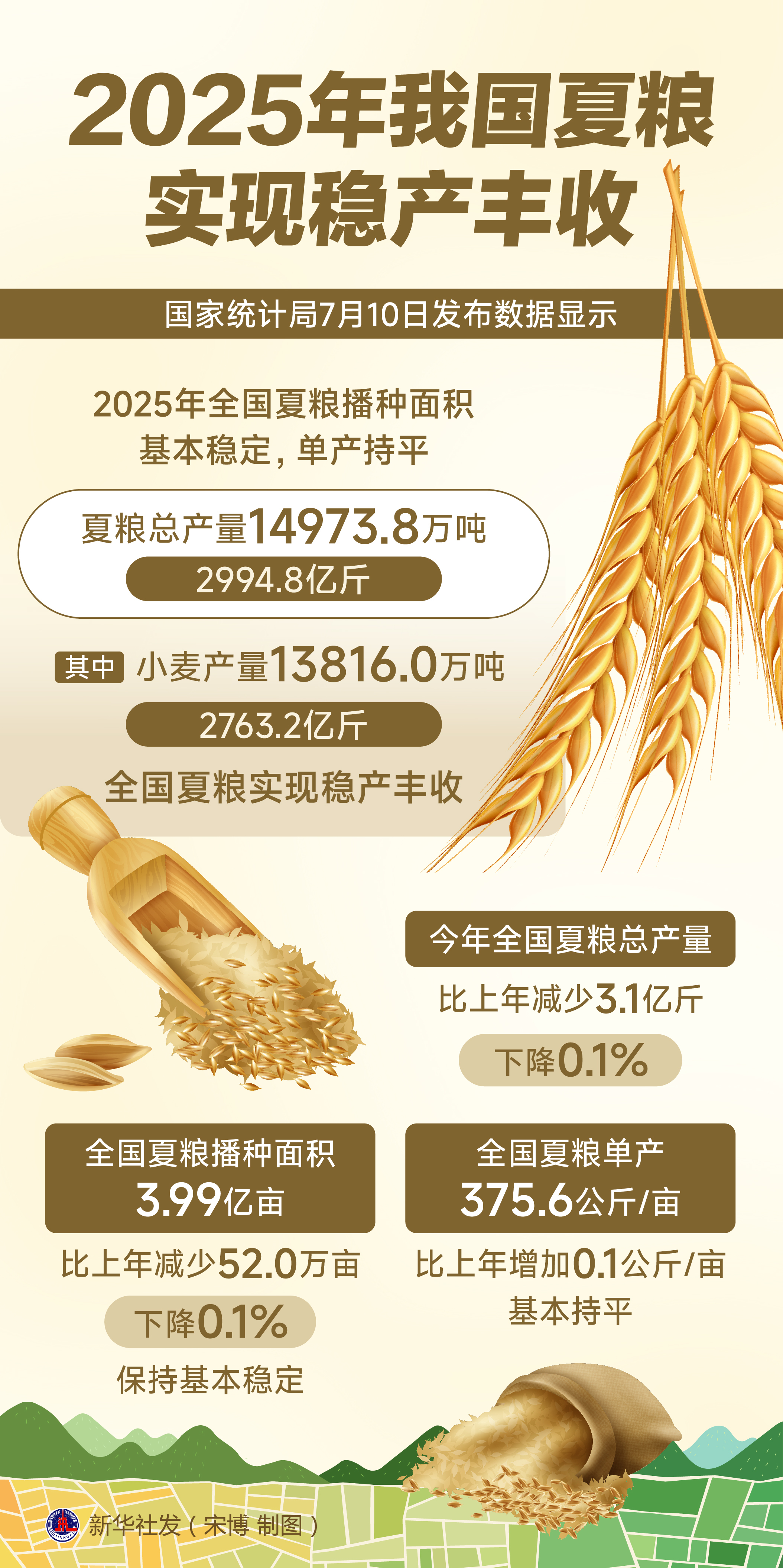 2025年我国夏粮实现稳产丰收