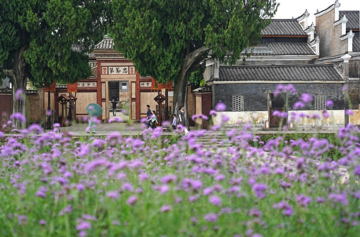 游客在江西省吉安市吉州区的钓源古村游览(2025年7月9日摄)。新华社记者 万象 摄