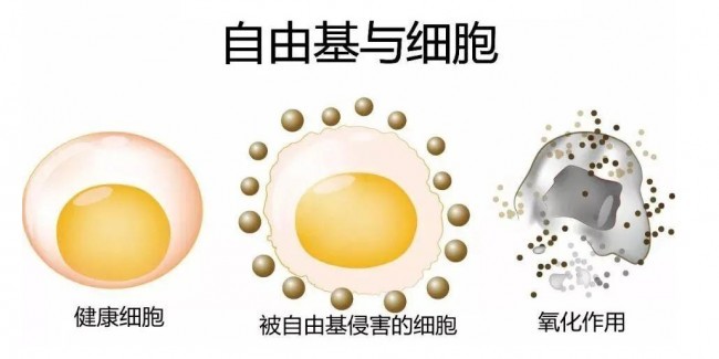图片 1.jpg
