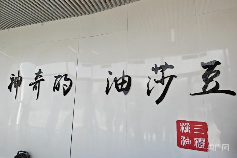 兴安镇油莎豆博物馆 (央广网记者郭璁悦 摄)