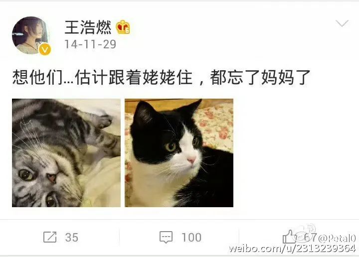 吵翻天了…他俩到底结没结婚啊？