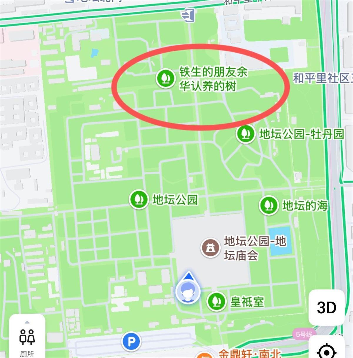 地图软件上标注了“铁生余华友谊树”