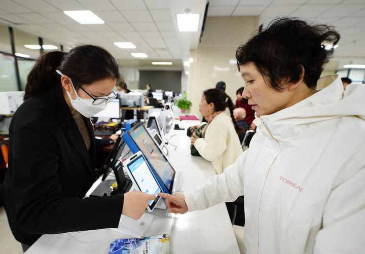 2024年11月7日,在安徽省马鞍山市政务服务中心不动产登记中心,市民(右)在工作人员的帮助下使用“政民通·马上办”查询核验系统调取办理业务所需的证明材料。新华社记者 刘勇贞 摄