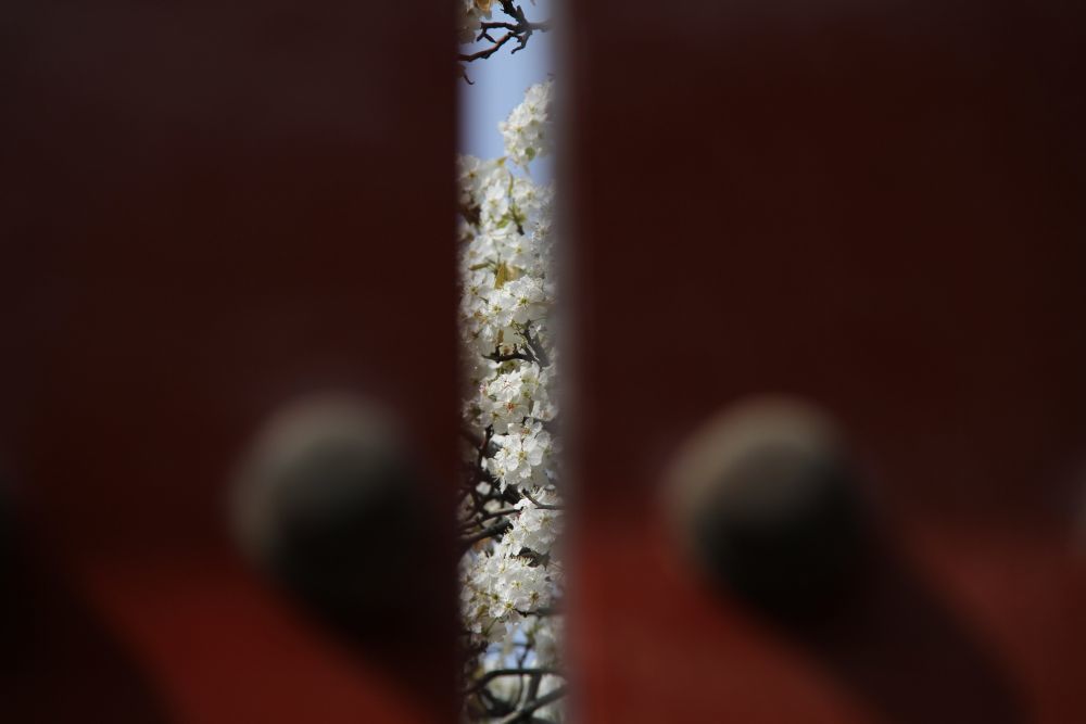 2022年/摄影:王海燕