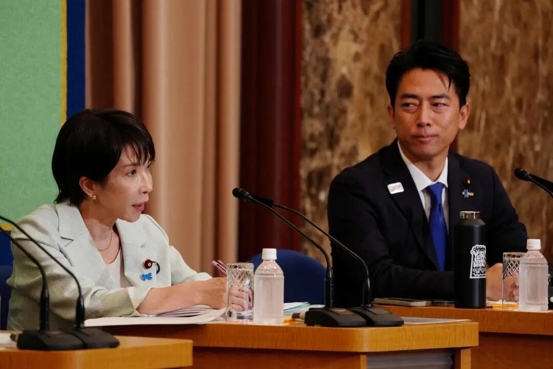 ◆小泉进次郎和高市早苗在第一轮中得票数分列前两名，进入第二轮投票。