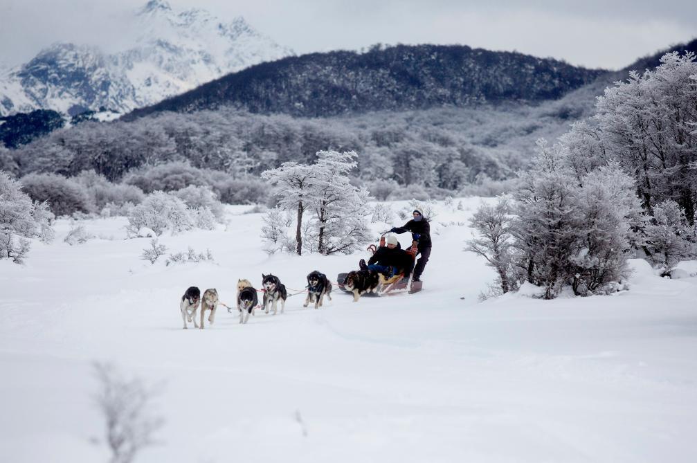 2018年7月8日，在阿根廷火地岛首府乌斯怀亚，游客体验狗拉雪橇。在南美大陆最南端的乌斯怀亚距南极洲只有800公里。新华社发（马丁·萨巴拉摄）