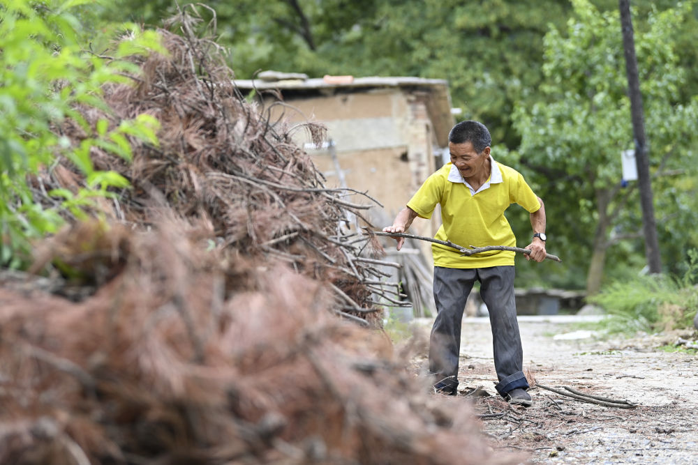 ↑秦海松为村民元有才整理柴火（2025年8月6日摄）。