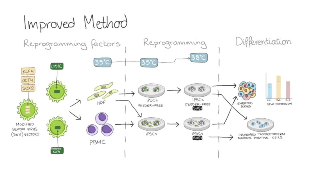 20万一台的“人脑计算机”,可能是人类战胜AI的唯一方式?