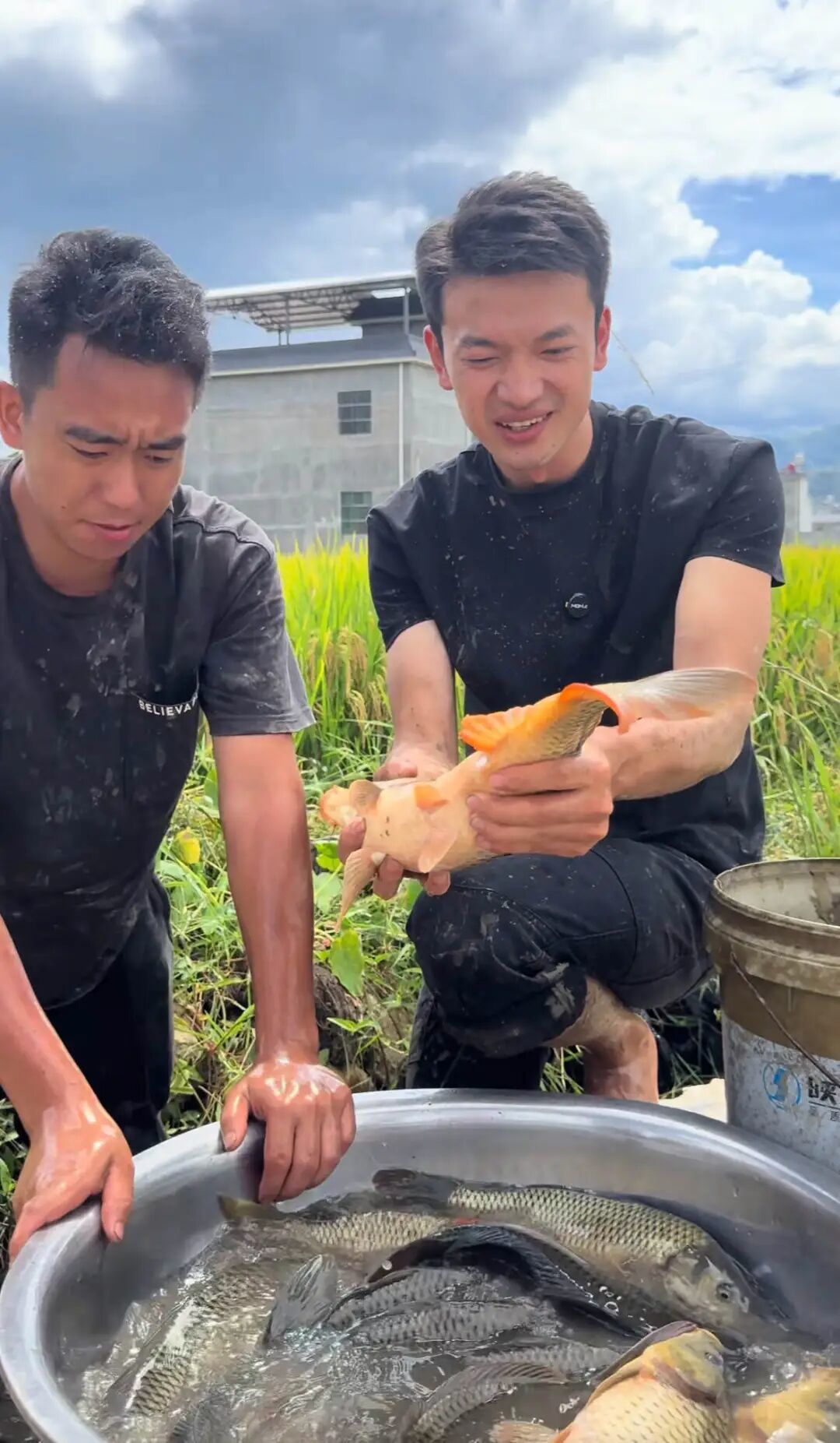 ● 大坤书记亲自抓鱼。图片来源:抖音@大坤