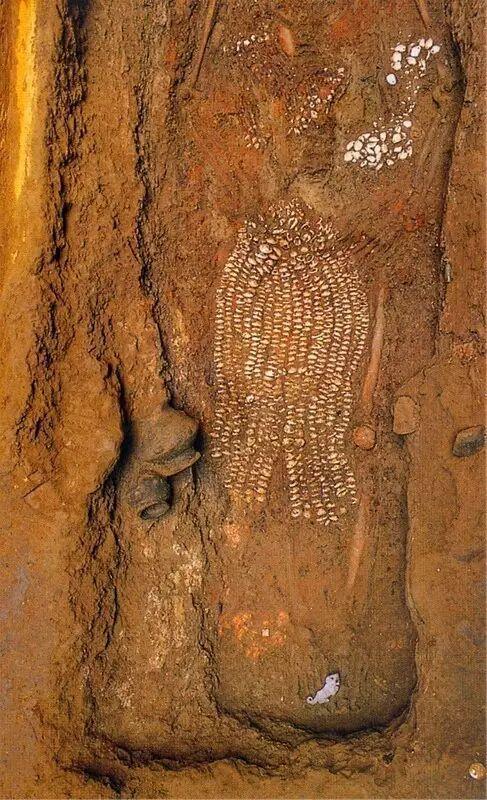 △山西天马—曲村6214号西周墓部分随葬鱼形海贝饰品