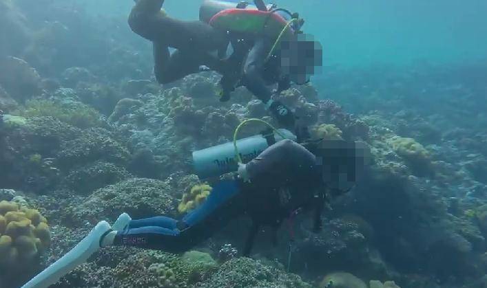 圖源網(wǎng)絡(luò)