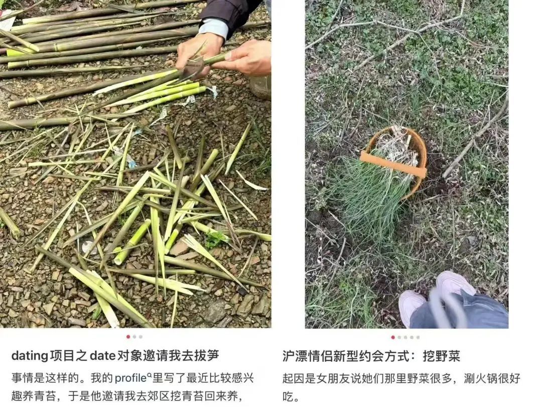 city dig——原指“城市挖宝”,一种在城市周边开展的类似寻宝的休闲活动。春天则特指挖野菜。(图/小红书截图)