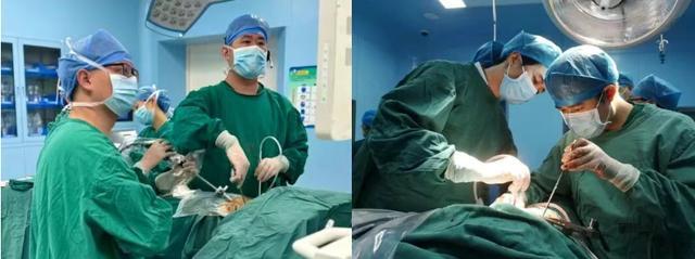 ▲手术中的刘云