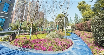 我们的美丽城市 我们的宜居家园（产经观察）