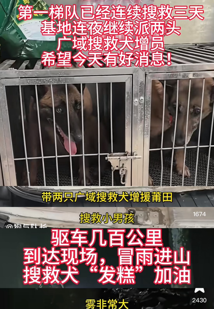 图源:抖音@狗与队长(福建省城市之光搜救犬队队长)