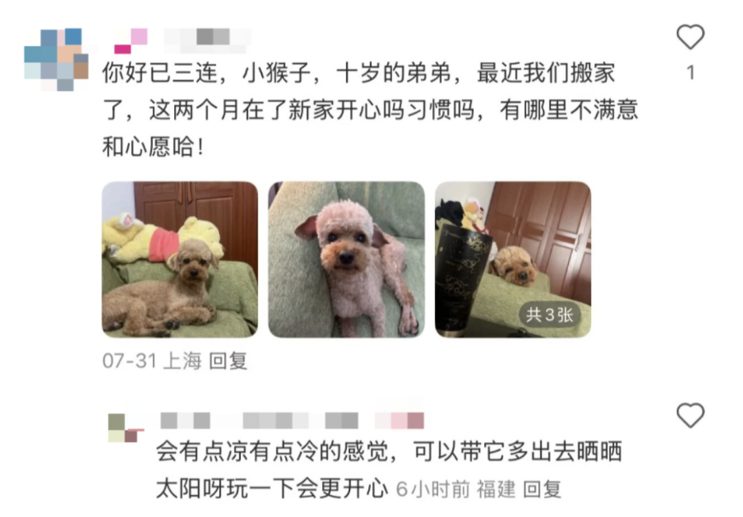 〓图源：网络