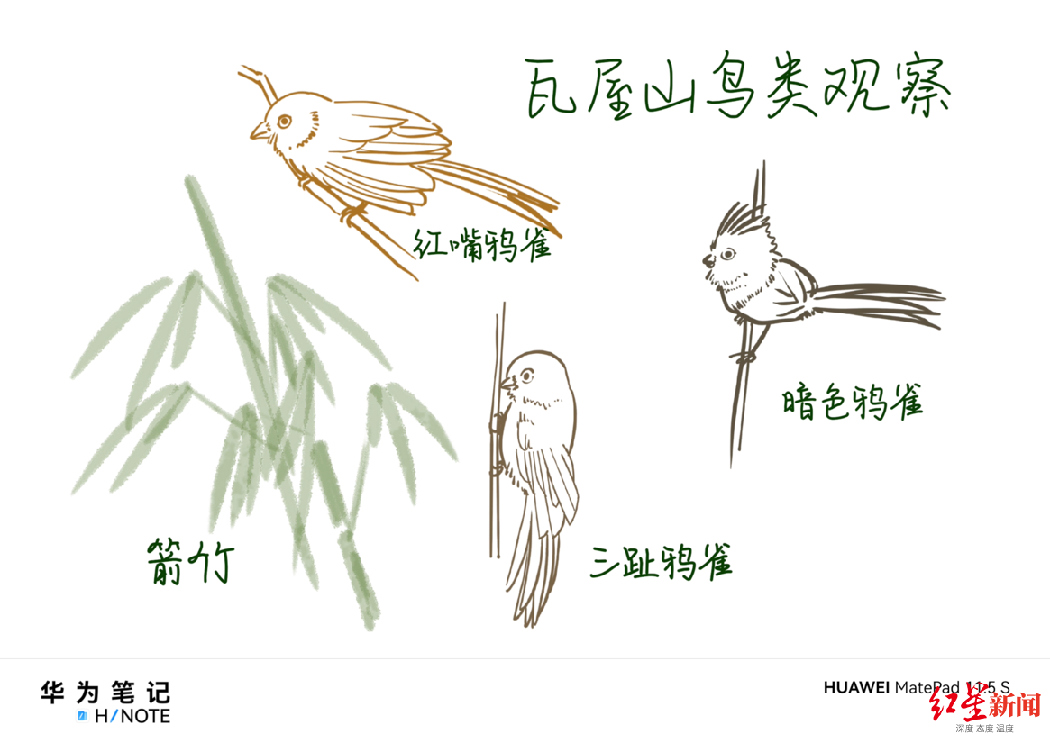 华为5.png