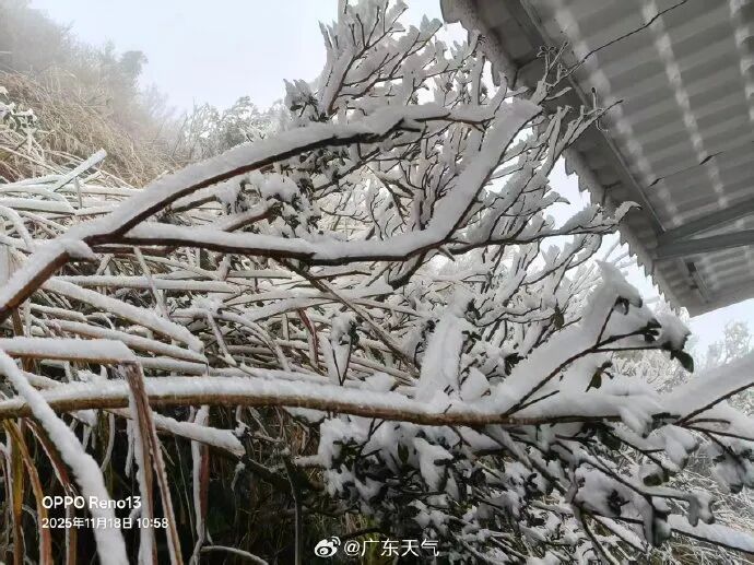 零下1度!广东结冰了