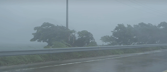 2025年9月,超强台风“桦加沙”登陆画面