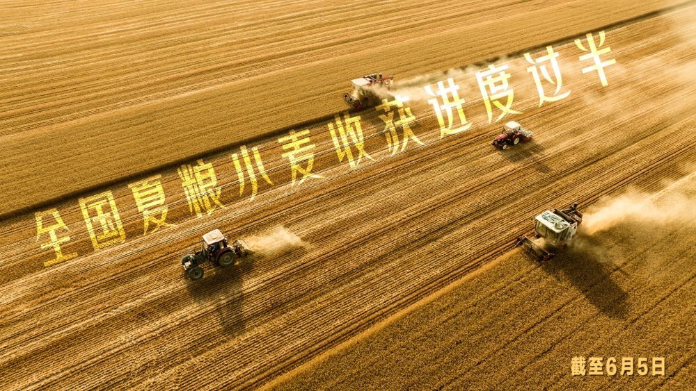 微视频｜“三夏”农忙时节 “数”看各地丰收图景