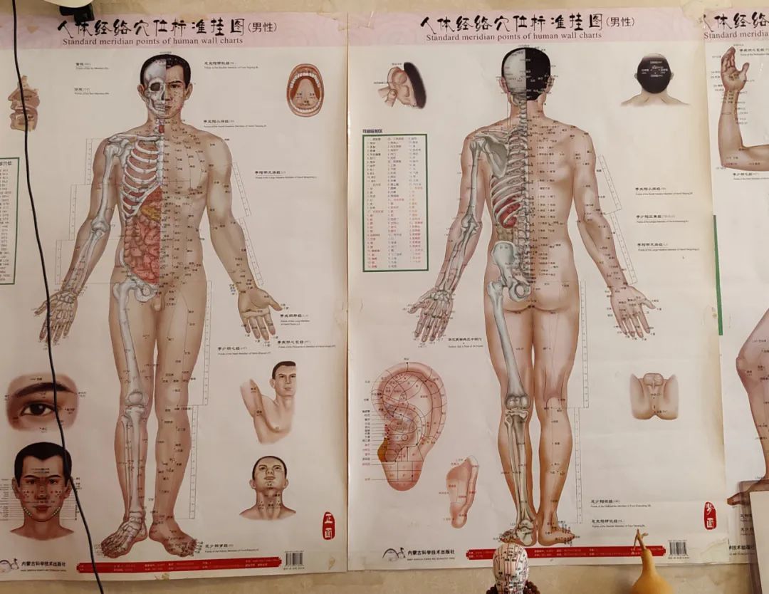 ◎ 迟冬月艾灸馆内贴的人体经脉穴位图