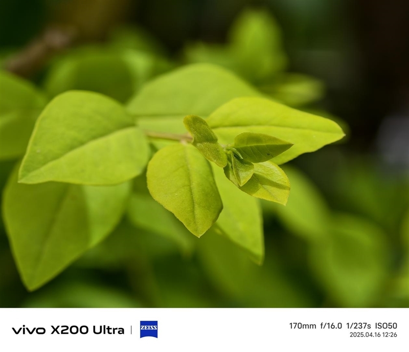 史上首款手机“大炮”!vivo X200 Ultra评测:自带外挂的全能V单