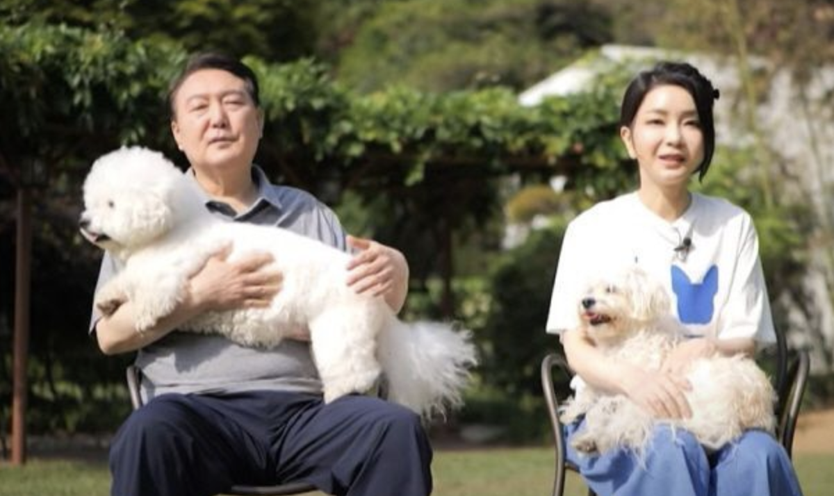 ▲韩国前总统尹锡悦夫妇抱着他们的宠物。资料图