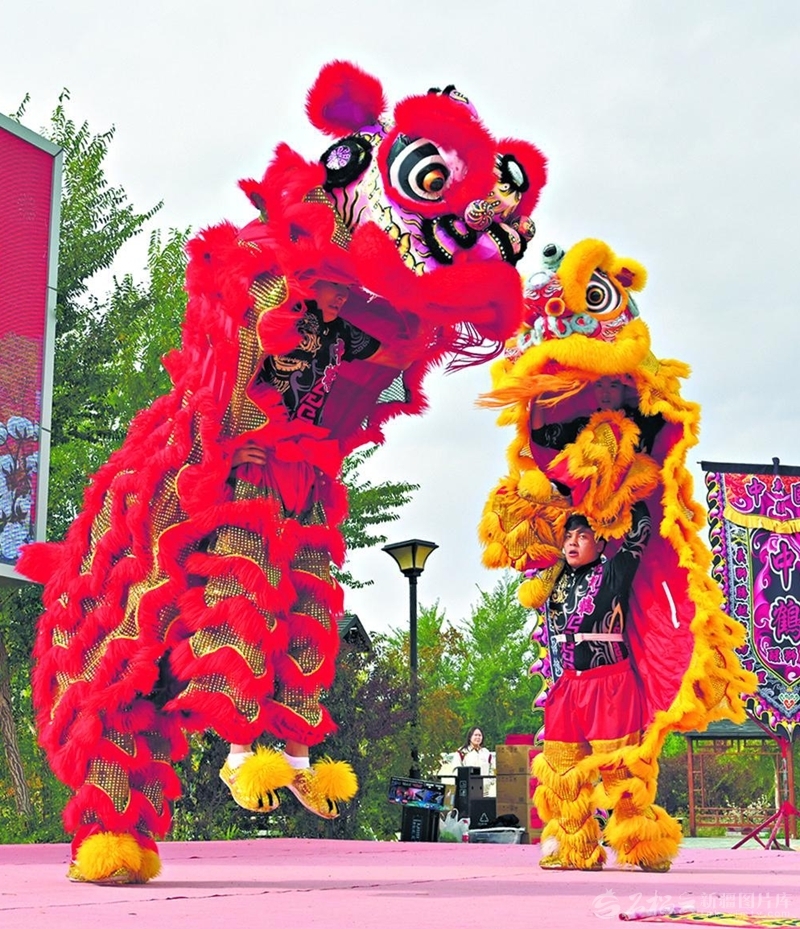 9月23日,为庆祝自治区成立70周年、欢庆“中国农民丰收节”,和布克赛尔蒙古自治县查和特乡举行了一系列活动。图为群众进行舞狮表演。□何承强摄