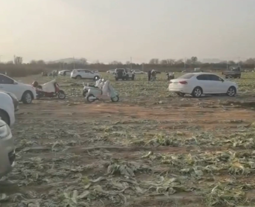 △網(wǎng)絡(luò)視頻截圖