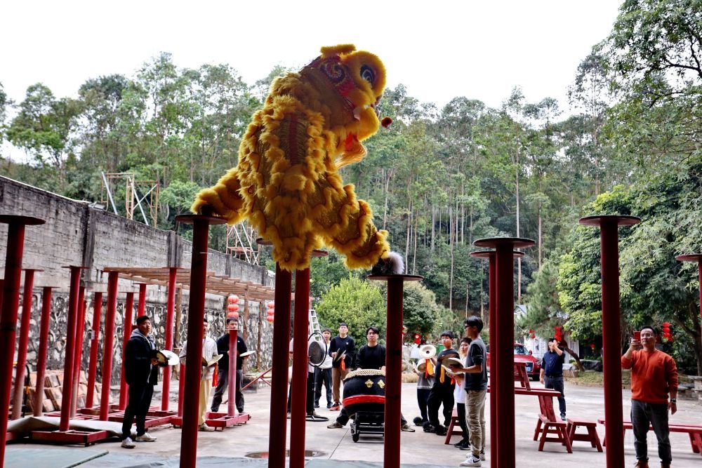 1月24日,在广东省鹤山市鹤城镇,醒狮队队员进行梅花桩舞狮训练