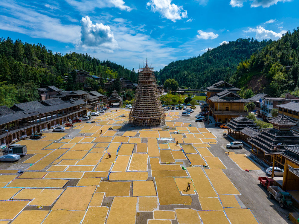 ↑2025年9月15日，农民在贵州省从江县高增乡小黄侗寨晾晒稻谷。（无人机照片）CICPHOTO/吴德军 摄