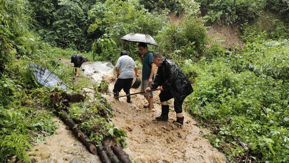 6月19日，鹤峰县邬阳乡小园村党员群众一同清理水毁的村道。新华社发