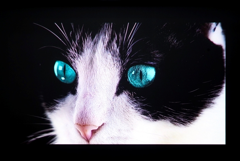 三色激光画质惊人!当贝D7X激光投影仪评测:三千元不到就能体验旗舰技术