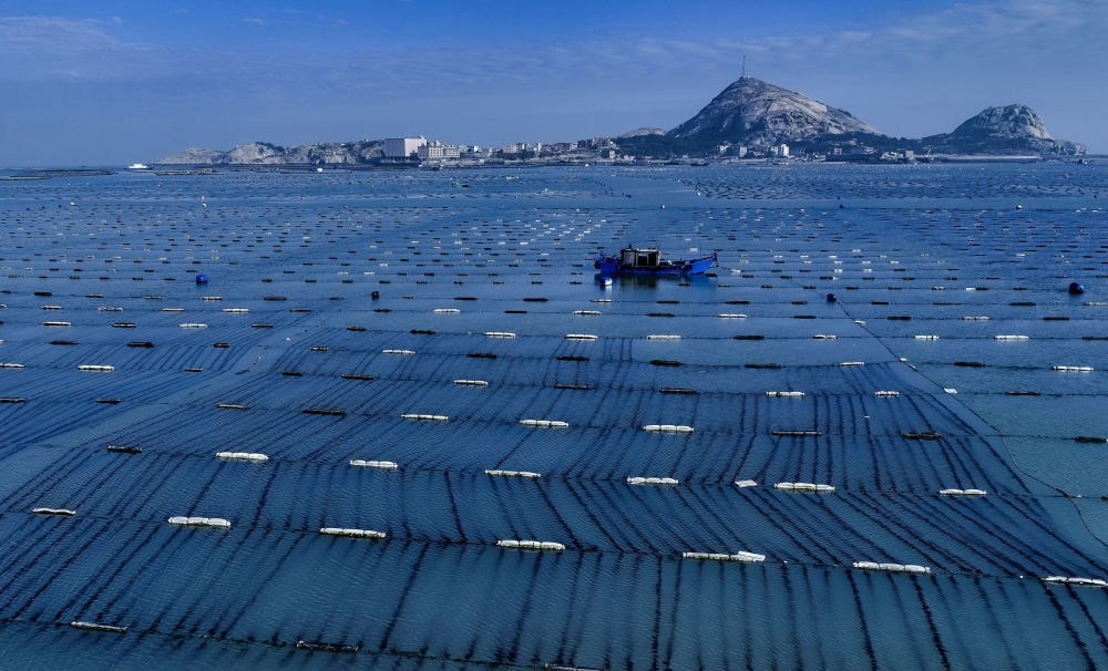 这是莆田市南日岛海域海上田园综合体全景。该综合体有序科学发展近海生态、立体循环养殖（无人机照片，2月27日摄）。新华社记者 魏培全 摄