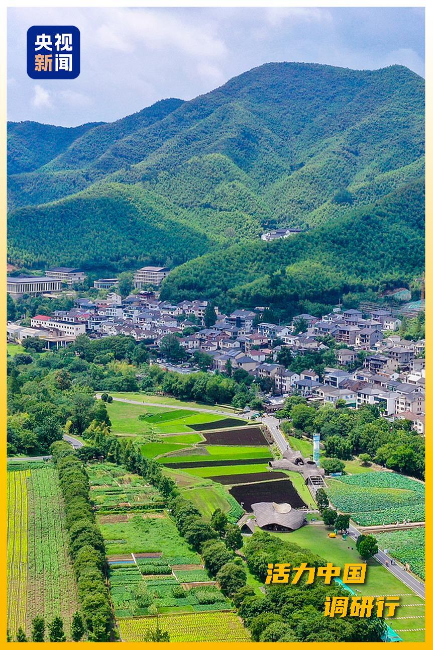 △浙江湖州余村风貌