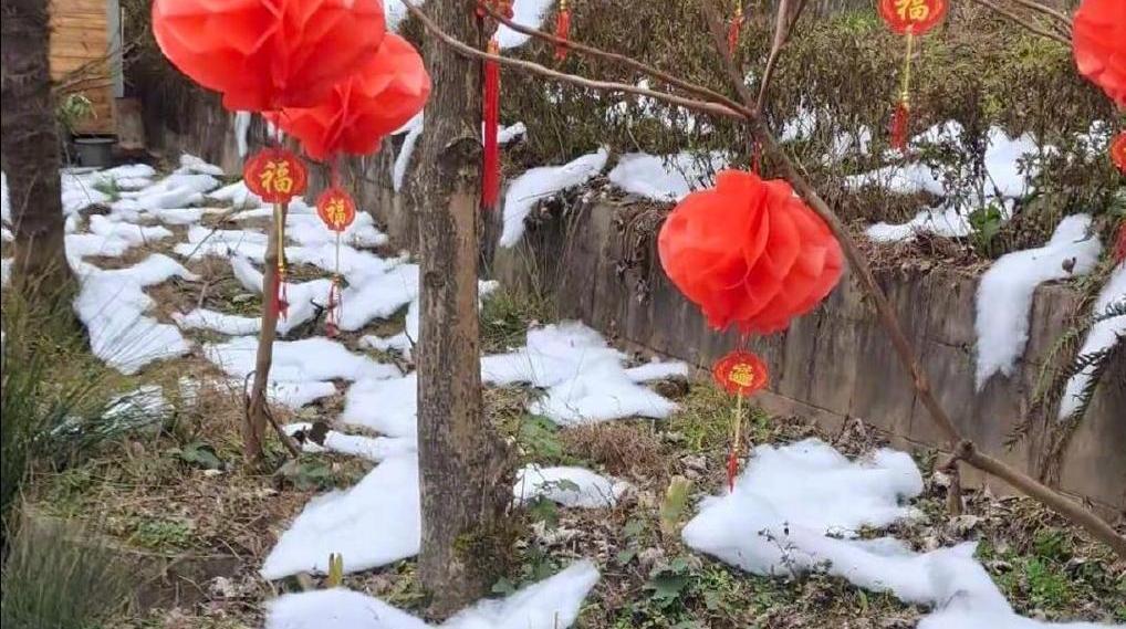 游客吐槽雪村“雪是用人造棉花做的”。 图源:网友