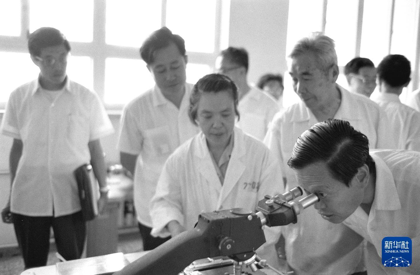 1977年,杨振宁(前)在中国科学院高能物理研究所观察研究成果。 新华社记者 张雅心 摄